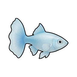 Sapphire Guppy