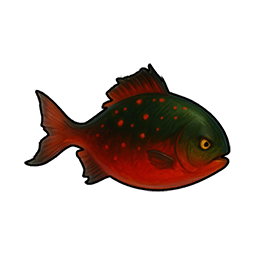 Cinder Crucian Carp