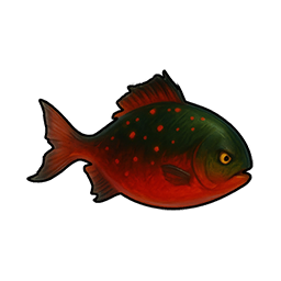 Cinder Crucian Carp