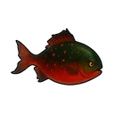 Cinder Crucian Carp