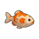 Silver Crucian Carp