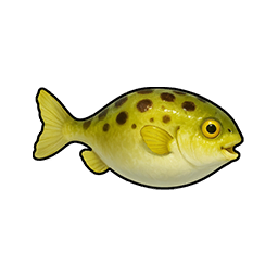 Wiggling Pufferfish