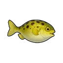 Wiggling Pufferfish