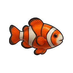 Dazed Anemone Fish