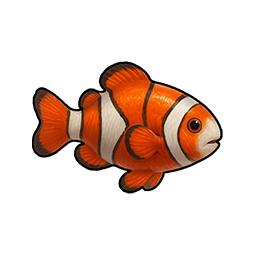 Dazed Anemone Fish