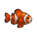 Dazed Anemone Fish