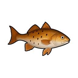 Ground Mullet