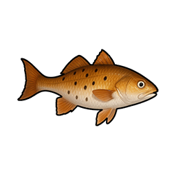 Ground Mullet