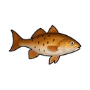Ground Mullet