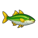 Grass-blade Mullet