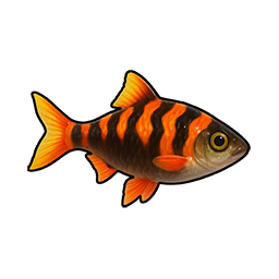 Sizzling Mullet