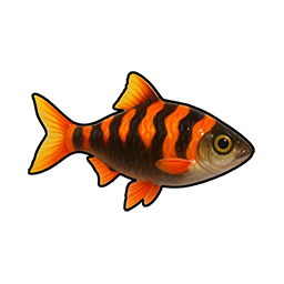 Sizzling Mullet