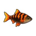 Sizzling Mullet