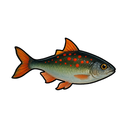 Blue-backed Mullet
