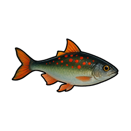 Blue-backed Mullet