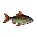 Blue-backed Mullet