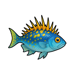 Spiny Mullet