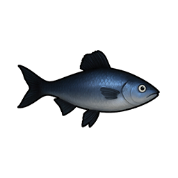 Iron Snakehead