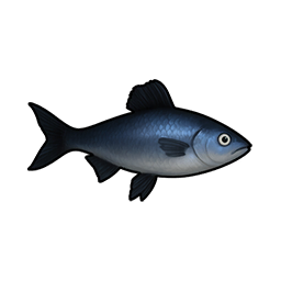 Iron Snakehead