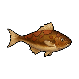 Boulder Snakehead