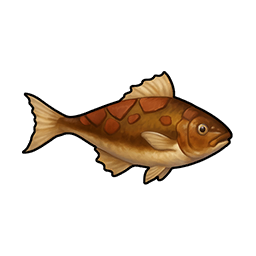 Boulder Snakehead