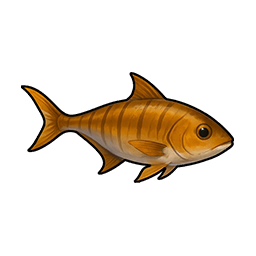 River Sand Snakehead