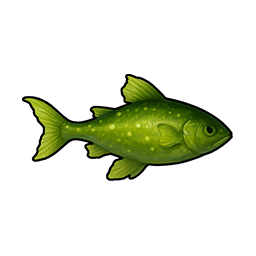 Swamp Fog Snakehead