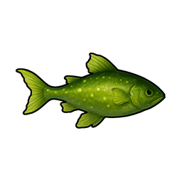 Swamp Fog Snakehead
