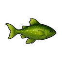 Swamp Fog Snakehead