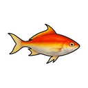 Crimson Tuna