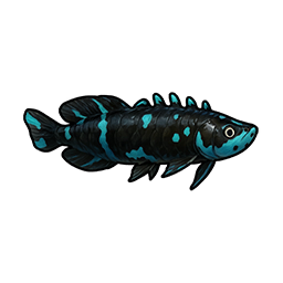 Luminous Arowana