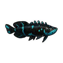 Luminous Arowana