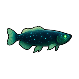 Night Sky Arowana