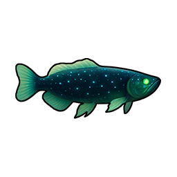 Night Sky Arowana