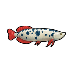 Spotted Coelacanth