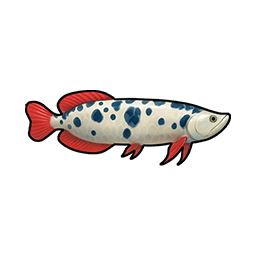 Spotted Coelacanth