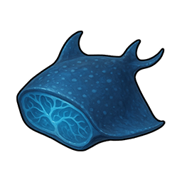 Manta Meat