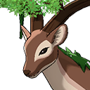 Forest Deer
