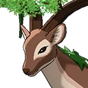 Forest Deer