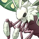Forest Moth