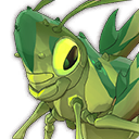 Wild Grasshopper