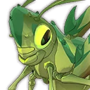 Wild Grasshopper