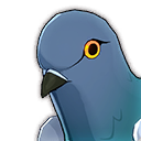 Pigeon