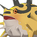 Spiky Rush Frog