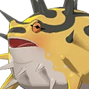 Spiky Rush Frog