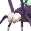 Male Venom Spider
