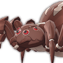 Brown Worker Spider