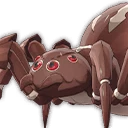 Brown Worker Spider