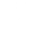 Axe