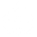 Dual Swords